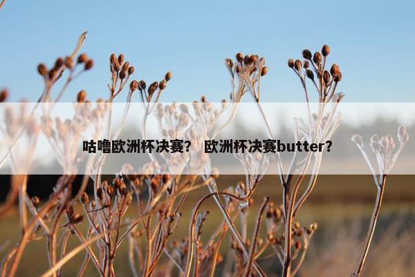 咕噜欧洲杯决赛？ 欧洲杯决赛butter？