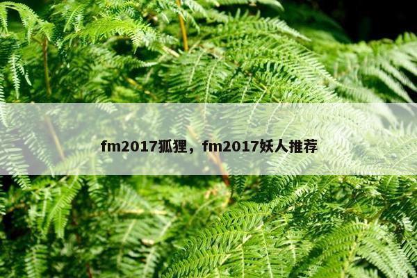 fm2017狐狸，fm2017妖人推荐