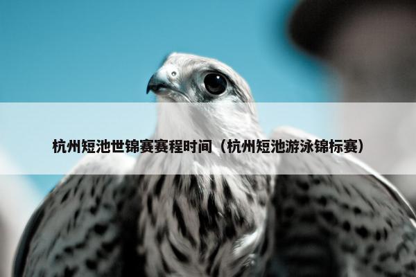 杭州短池世锦赛赛程时间（杭州短池游泳锦标赛）