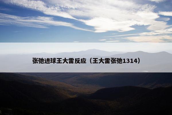 张弛进球王大雷反应（王大雷张弛1314）