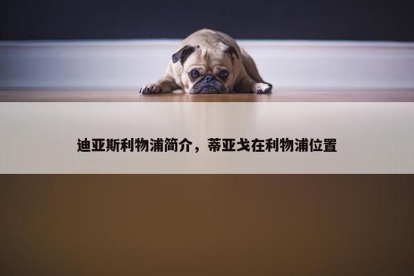 迪亚斯利物浦简介，蒂亚戈在利物浦位置