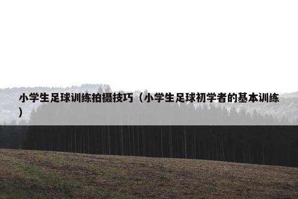 小学生足球训练拍摄技巧（小学生足球初学者的基本训练）