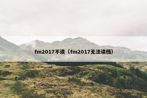 fm2017不读（fm2017无法读档）