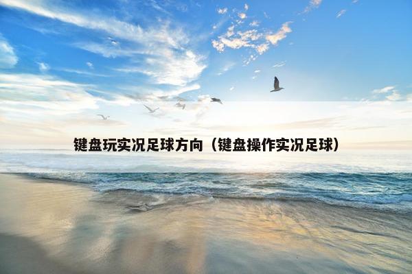键盘玩实况足球方向（键盘操作实况足球）