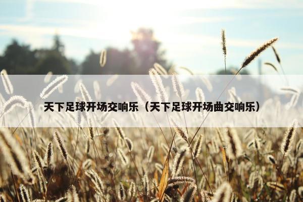 天下足球开场交响乐（天下足球开场曲交响乐）
