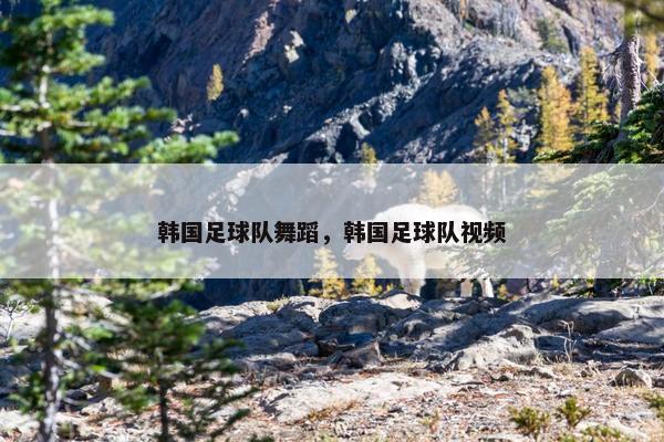 韩国足球队舞蹈，韩国足球队视频