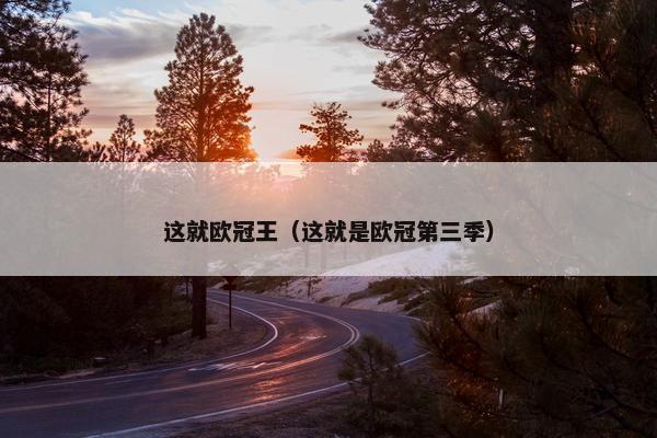 这就欧冠王（这就是欧冠第三季）