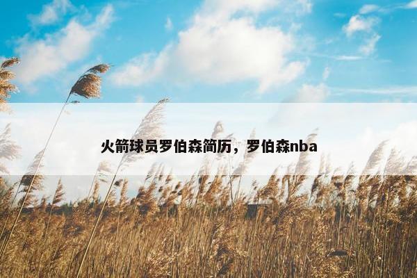 火箭球员罗伯森简历，罗伯森nba