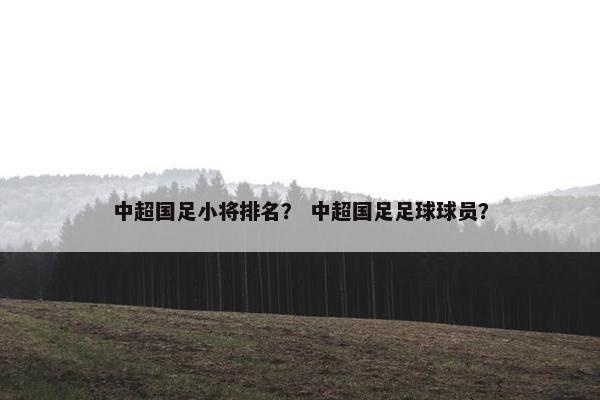 中超国足小将排名？ 中超国足足球球员？