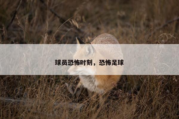 球员恐怖时刻，恐怖足球