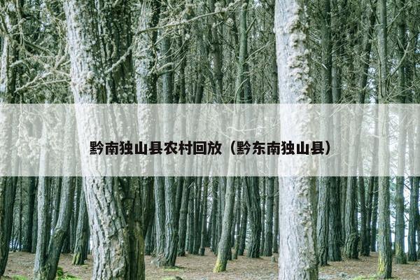 黔南独山县农村回放（黔东南独山县）