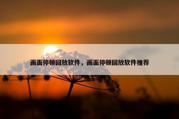 画面停顿回放软件，画面停顿回放软件推荐