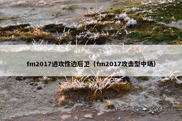 fm2017进攻性边后卫（fm2017攻击型中场）