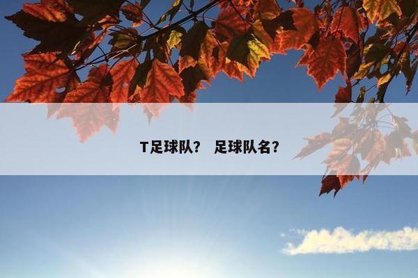 T足球队？ 足球队名？