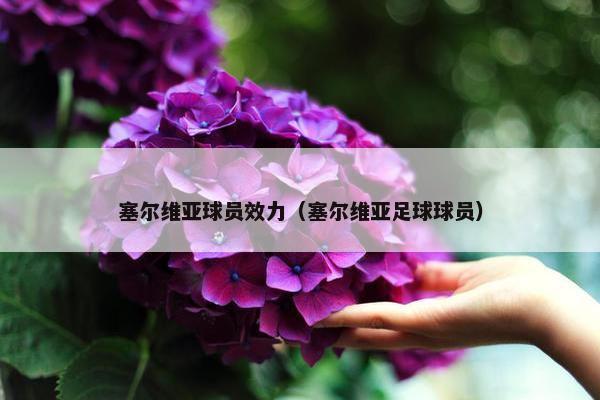 塞尔维亚球员效力（塞尔维亚足球球员）