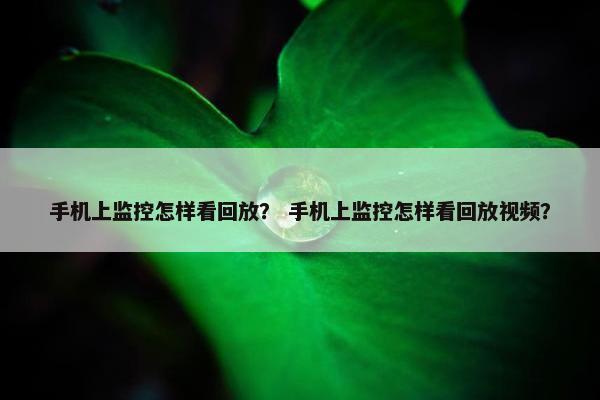 手机上监控怎样看回放？ 手机上监控怎样看回放视频？