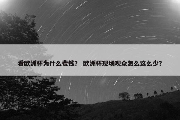看欧洲杯为什么费钱？ 欧洲杯现场观众怎么这么少？