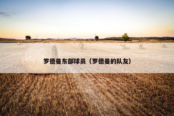 罗德曼东部球员（罗德曼的队友）
