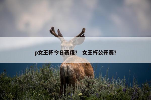 p女王杯今日赛程？ 女王杯公开赛？
