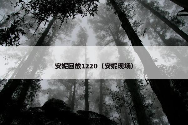 安妮回放1220（安妮现场）