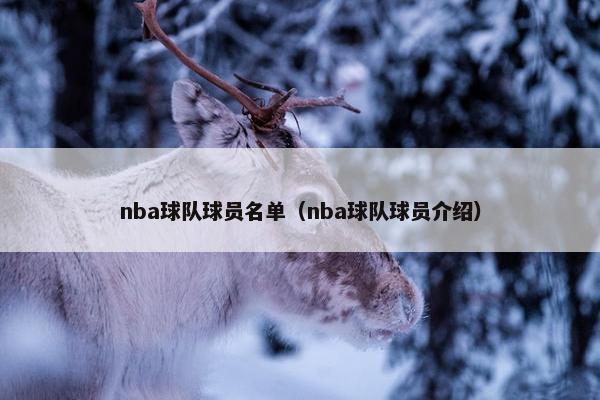 nba球队球员名单（nba球队球员介绍）