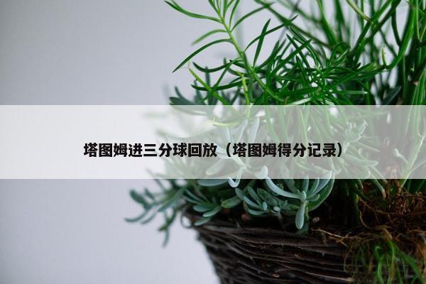 塔图姆进三分球回放（塔图姆得分记录）