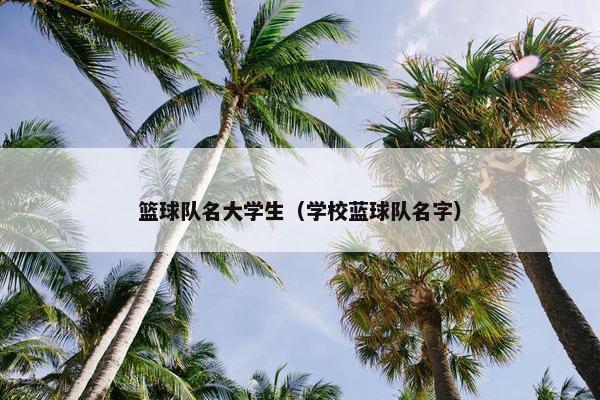 篮球队名大学生（学校蓝球队名字）