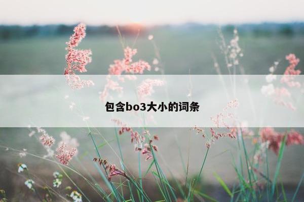 包含bo3大小的词条