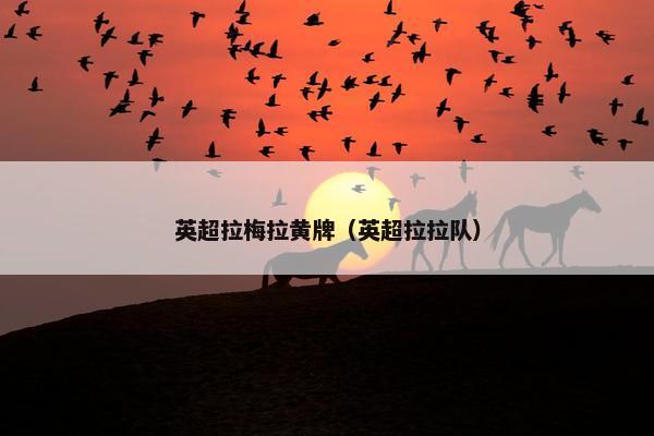 英超拉梅拉黄牌（英超拉拉队）
