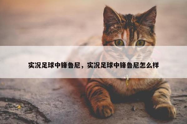 实况足球中锋鲁尼，实况足球中锋鲁尼怎么样