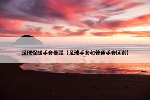 足球保暖手套曼联（足球手套和普通手套区别）