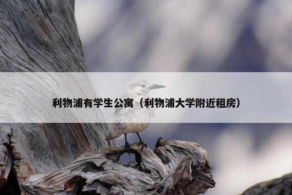 利物浦有学生公寓（利物浦大学附近租房）