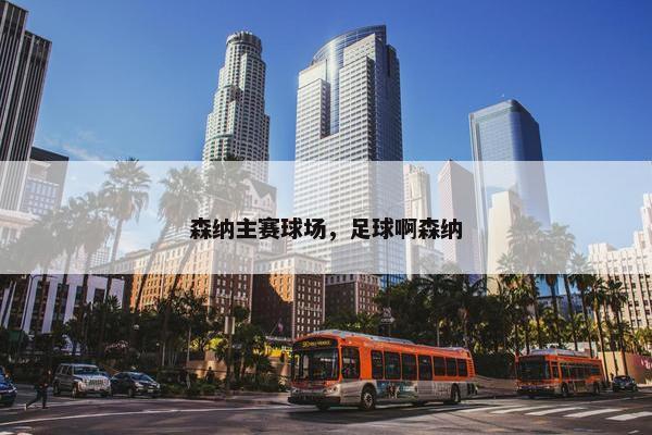 森纳主赛球场，足球啊森纳
