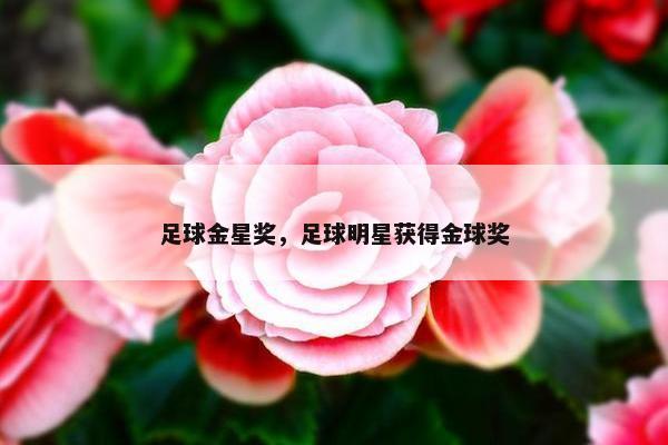 足球金星奖，足球明星获得金球奖