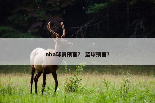 nba球员预言？ 篮球预言？