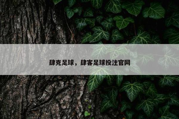 肆克足球，肆客足球投注官网