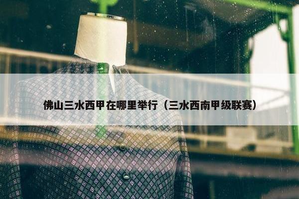 佛山三水西甲在哪里举行（三水西南甲级联赛）