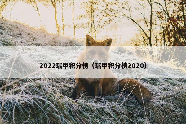 2022瑞甲积分榜（瑞甲积分榜2020）