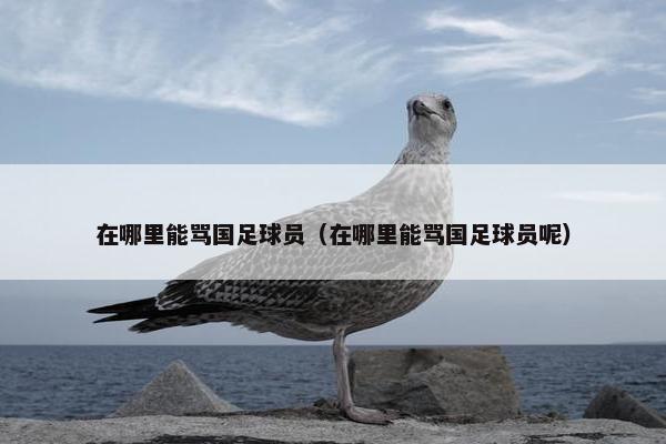 在哪里能骂国足球员（在哪里能骂国足球员呢）
