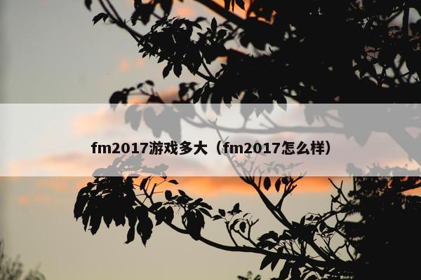 fm2017游戏多大（fm2017怎么样）