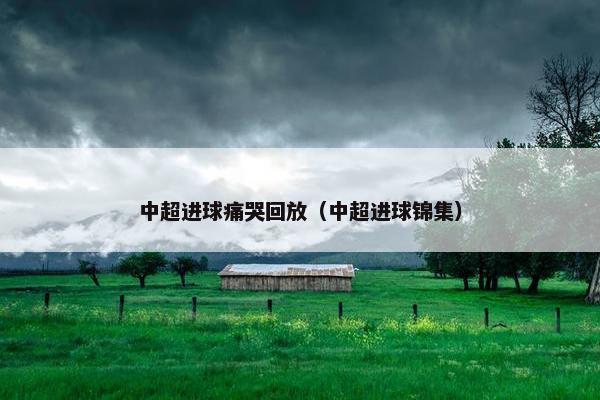 中超进球痛哭回放（中超进球锦集）
