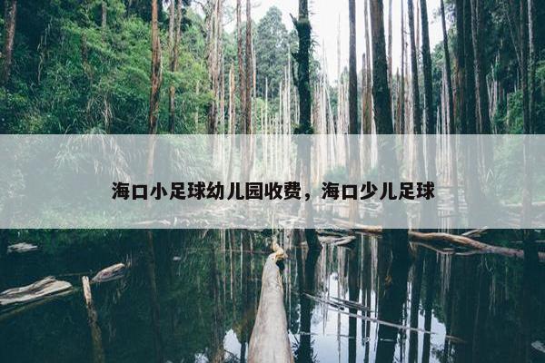 海口小足球幼儿园收费，海口少儿足球