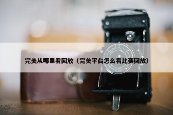 完美从哪里看回放（完美平台怎么看比赛回放）
