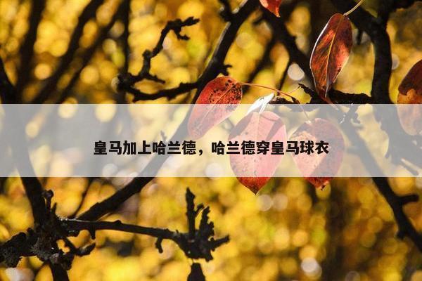 皇马加上哈兰德，哈兰德穿皇马球衣