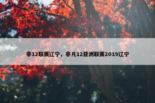 非12联赛辽宁，非凡12亚洲联赛2019辽宁