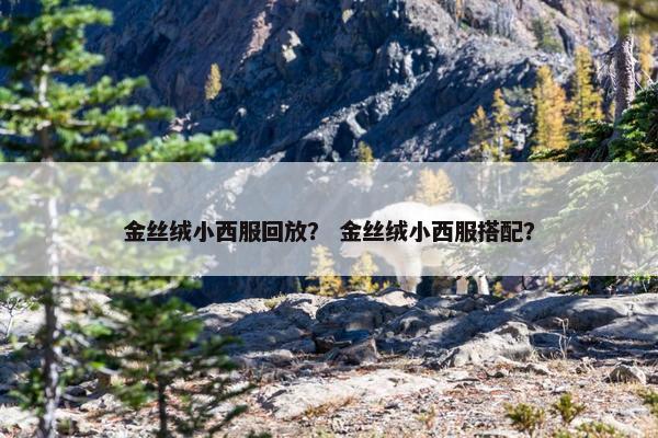 金丝绒小西服回放？ 金丝绒小西服搭配？