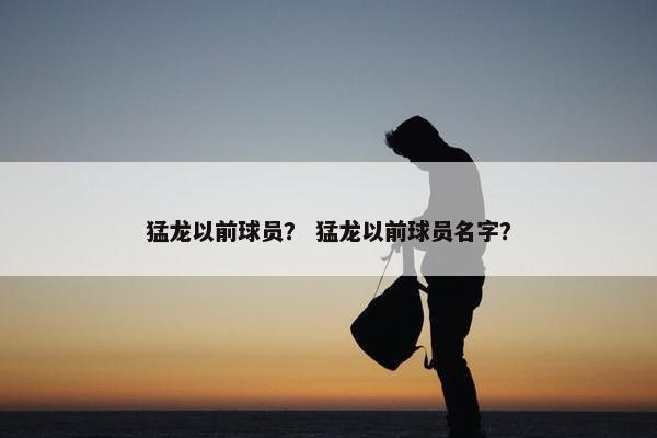 猛龙以前球员？ 猛龙以前球员名字？