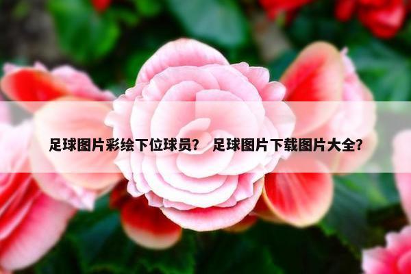足球图片彩绘下位球员？ 足球图片下载图片大全？
