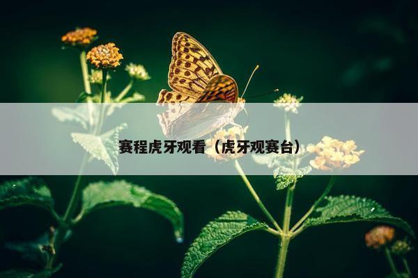赛程虎牙观看（虎牙观赛台）