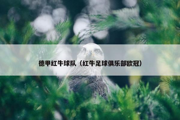 德甲红牛球队（红牛足球俱乐部欧冠）
